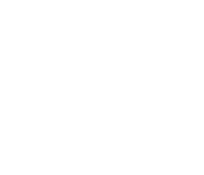 Alpha Partner