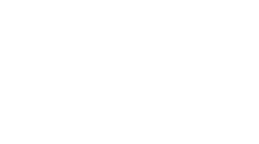 Lingua Learn