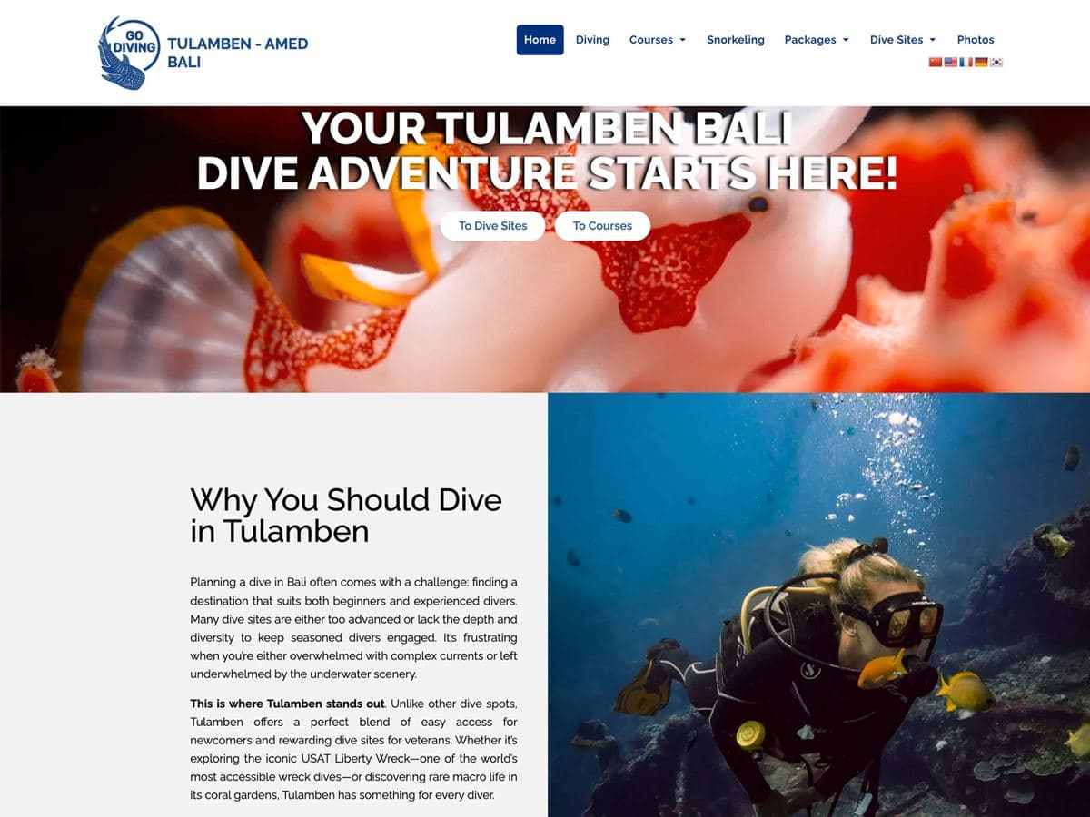 Go Diving Tulamben homepage: your Tulamben Bali dive adventure starts here, over an underwater scene